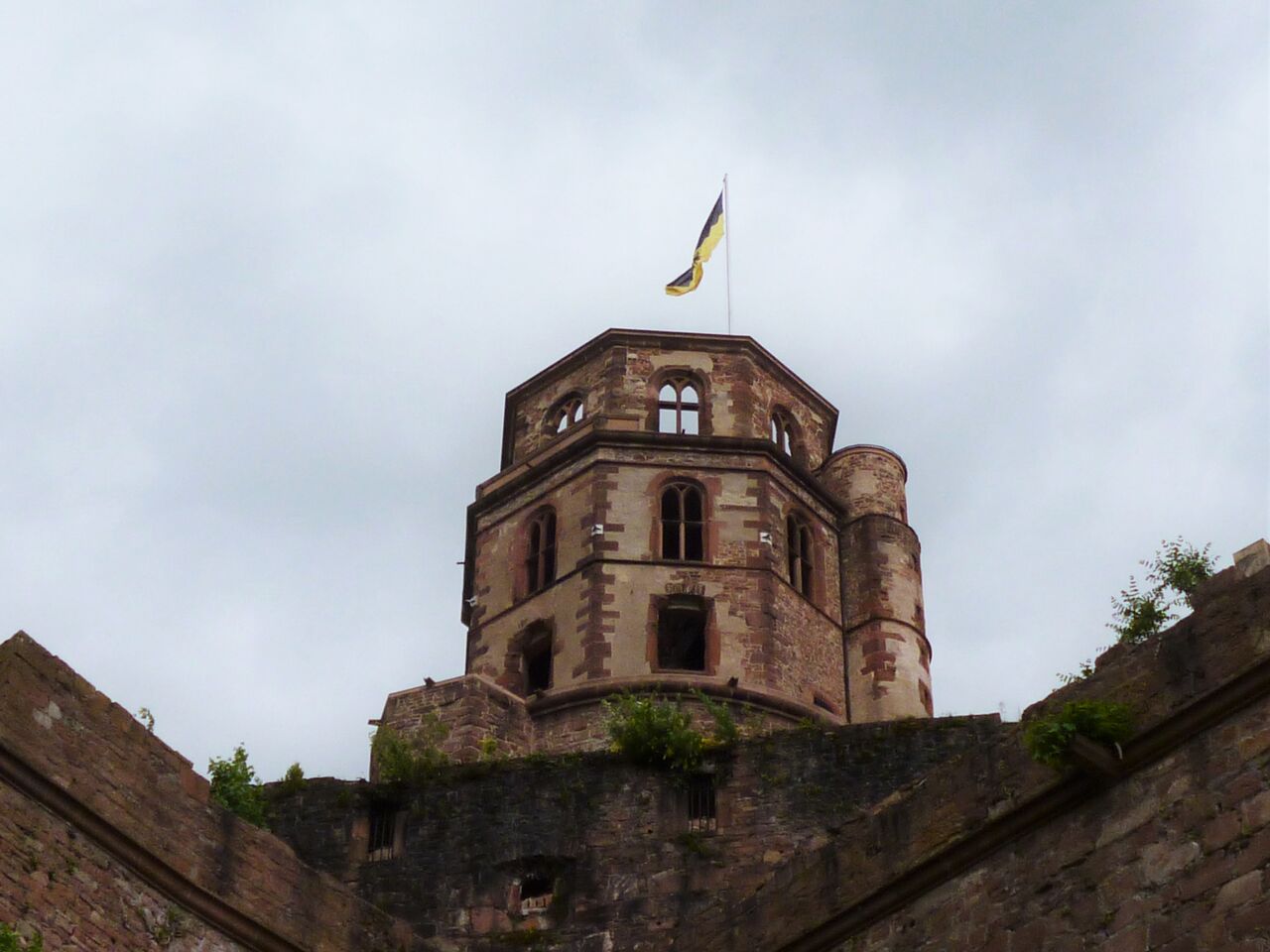 Schloß Heidelberg