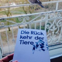 Bücherhamstern (17): Die Rückkehr der Tiere